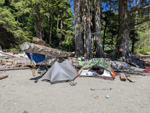 Camp Site on West Coast Trail 2022