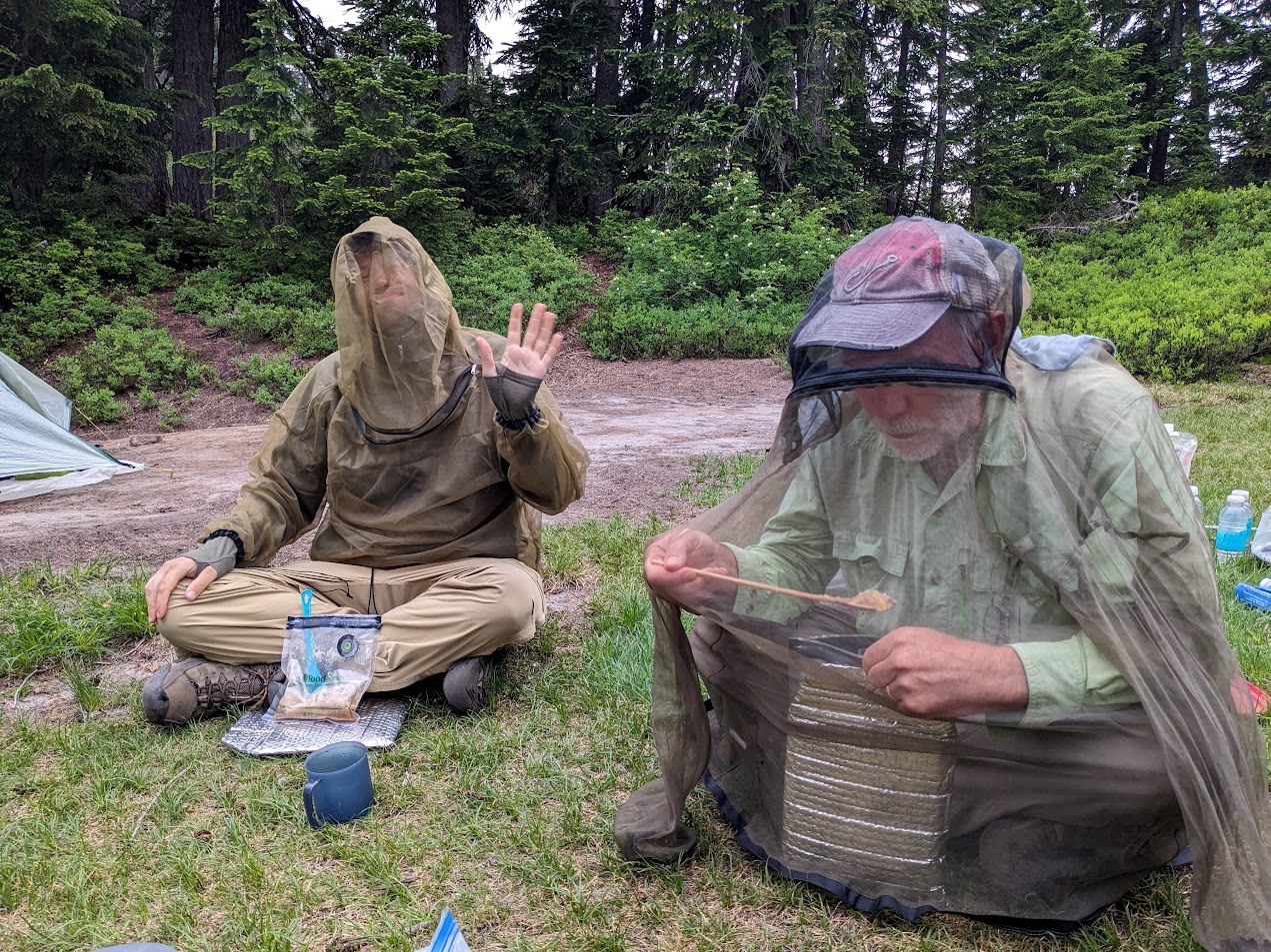 mosquitoes at ridge lake