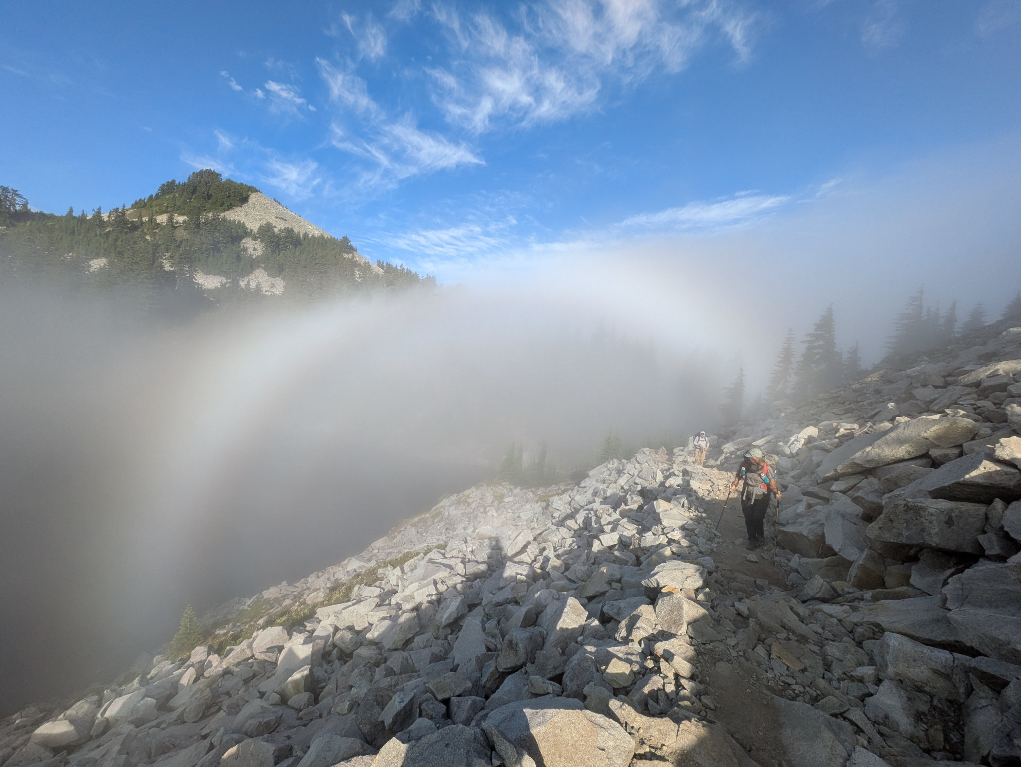 sun halo in fog