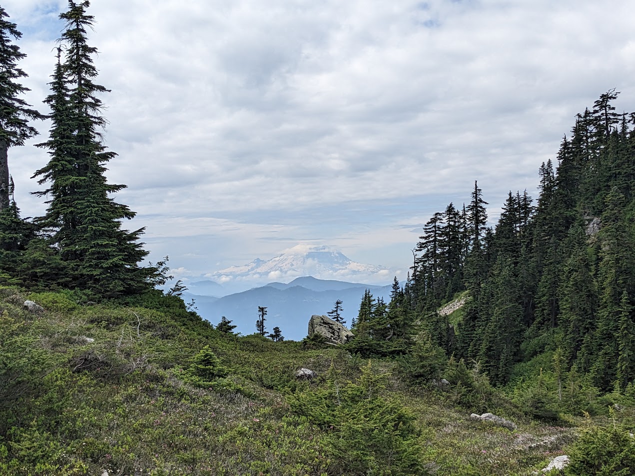 view of mt. rainier