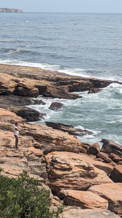 portuguese fisherman