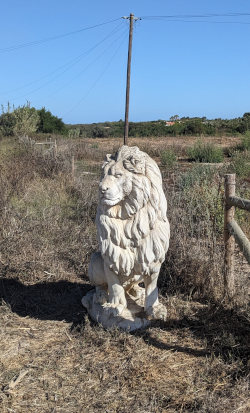 Roadwalk on Fishermens Trail