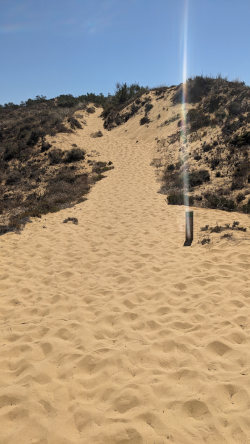 sandy trail