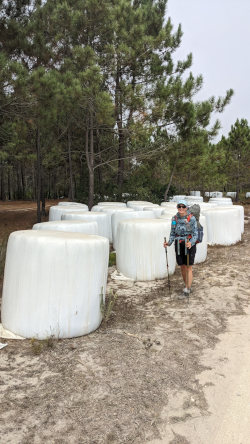 huge marshmallows