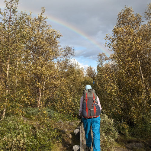 Swedish Rainbow