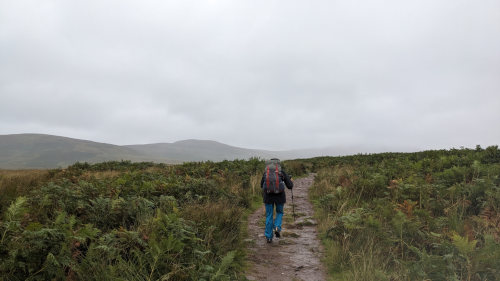 Hiking in the Rain