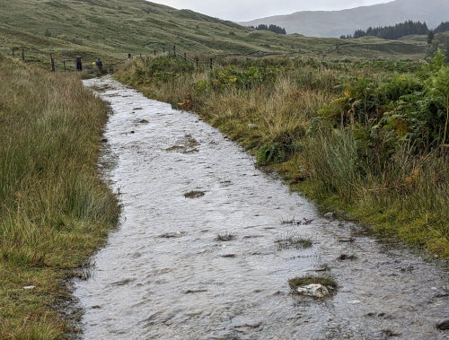 Trail turned to River