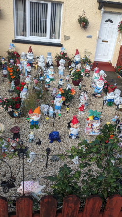 yard Gnomes