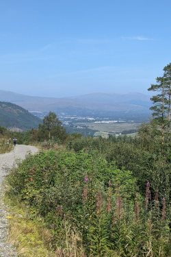 View of Fort William